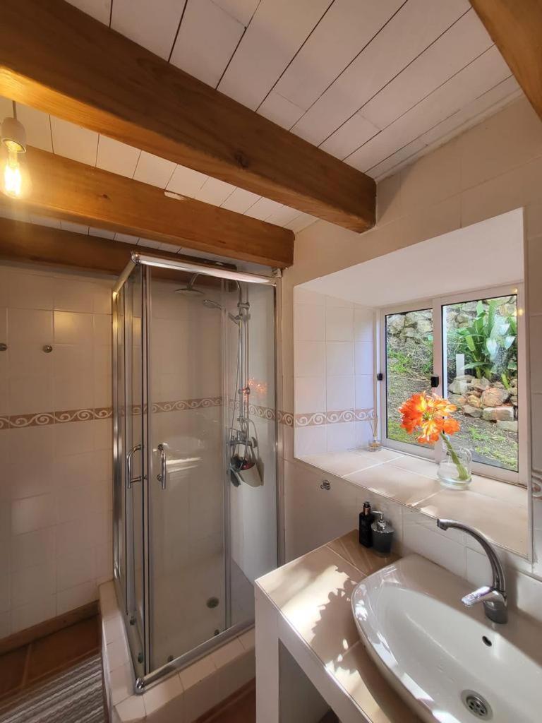 Casa Anjos Holiday home Cedros